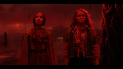 Stranger_Things_S05E06_mkv3776.jpg