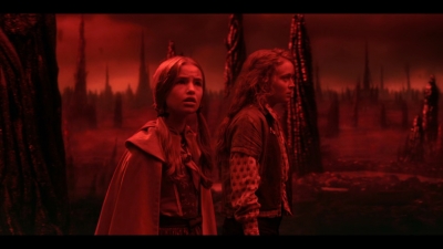 Stranger_Things_S05E06_mkv3785.jpg