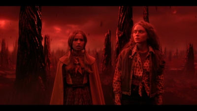 Stranger_Things_S05E06_mkv3788.jpg