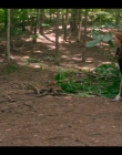 Filename=Stranger_Things_S05E08_mkv1846.jpg
Filesize=1087KiB
Dimensions=1920x1080
Date added=Jan 02, 2026 Stranger_Things_S05E08_mkv1846.jpg