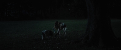 Fear_Street_Part_2_1978_mp46621.jpg