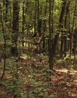 Fear_Street_Part_2_1978_mp41668.jpg