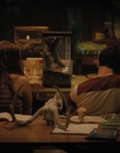 Filename=Fear_Street_Part_2_1978_mp44476.jpg
Filesize=589KiB
Dimensions=1920x800
Date added=Jun 23, 2022 Fear_Street_Part_2_1978_mp44476.jpg