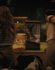 Filename=Fear_Street_Part_2_1978_mp44572.jpg
Filesize=606KiB
Dimensions=1920x800
Date added=Jun 23, 2022 Fear_Street_Part_2_1978_mp44572.jpg