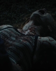 Filename=Fear_Street_Part_2_1978_mp46750.jpg
Filesize=406KiB
Dimensions=1920x800
Date added=Jun 23, 2022 Fear_Street_Part_2_1978_mp46750.jpg