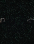 Filename=Fear_Street_Part_2_1978_mp46799.jpg
Filesize=659KiB
Dimensions=1920x800
Date added=Jun 23, 2022 Fear_Street_Part_2_1978_mp46799.jpg