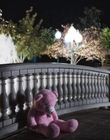 Filename=Dear_Zoe_mp47752.jpg
Filesize=924KiB
Dimensions=1916x954
Date added=Nov 22, 2022 Dear_Zoe_mp47752.jpg