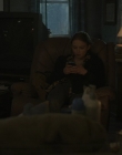 Filename=The_Whale_mp44071.jpg
Filesize=687KiB
Dimensions=1440x1080
Date added=Jul 28, 2025 The_Whale_mp44071.jpg