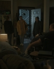 Filename=The_Whale_mp44451.jpg
Filesize=717KiB
Dimensions=1440x1080
Date added=Jul 28, 2025 The_Whale_mp44451.jpg