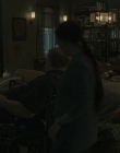 The_Whale_mp44548.jpg