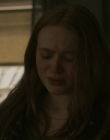 Filename=The_Whale_mp46517.jpg
Filesize=726KiB
Dimensions=1440x1080
Date added=Jul 28, 2025 The_Whale_mp46517.jpg