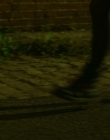 Filename=2024_-_A_Sacrifice_mp43311.jpg
Filesize=651KiB
Dimensions=1920x800
Date added=Oct 12, 2024 2024_-_A_Sacrifice_mp43311.jpg