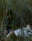 Filename=2024_-_A_Sacrifice_mp44587.jpg
Filesize=1120KiB
Dimensions=1920x800
Date added=Oct 12, 2024 2024_-_A_Sacrifice_mp44587.jpg