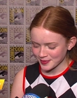 Filename=2017-07-22_-_Comic_Con_2017_1_mp40045.jpg
Filesize=1067KiB
Dimensions=1920x1080
Date added=Dec 15, 2022 2017-07-22_-_Comic_Con_2017_1_mp40045.jpg