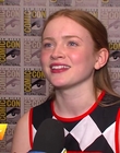 Filename=2017-07-22_-_Comic_Con_2017_1_mp40050.jpg
Filesize=1051KiB
Dimensions=1920x1080
Date added=Dec 15, 2022 2017-07-22_-_Comic_Con_2017_1_mp40050.jpg