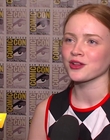 Filename=2017-07-22_-_Comic_Con_2017_1_mp40057.jpg
Filesize=1036KiB
Dimensions=1920x1080
Date added=Dec 15, 2022 2017-07-22_-_Comic_Con_2017_1_mp40057.jpg