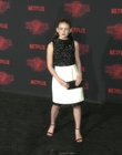 Filename=2017-10-26_-_Stranger_Things_2_Premiere_3_mov1289.jpg
Filesize=971KiB
Dimensions=1920x1080
Date added=Dec 15, 2022 2017-10-26_-_Stranger_Things_2_Premiere_3_mov1289.jpg
