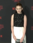 Filename=2017-10-26_-_Stranger_Things_2_Premiere_3_mov1293.jpg
Filesize=903KiB
Dimensions=1920x1080
Date added=Dec 15, 2022 2017-10-26_-_Stranger_Things_2_Premiere_3_mov1293.jpg