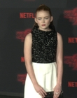 Filename=2017-10-26_-_Stranger_Things_2_Premiere_3_mov1294.jpg
Filesize=906KiB
Dimensions=1920x1080
Date added=Dec 15, 2022 2017-10-26_-_Stranger_Things_2_Premiere_3_mov1294.jpg