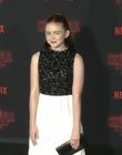 Filename=2017-10-26_-_Stranger_Things_2_Premiere_3_mov1298.jpg
Filesize=1036KiB
Dimensions=1920x1080
Date added=Dec 15, 2022 2017-10-26_-_Stranger_Things_2_Premiere_3_mov1298.jpg
