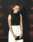Filename=2017-10-26_-_Stranger_Things_2_Premiere_3_mov1299.jpg
Filesize=940KiB
Dimensions=1920x1080
Date added=Dec 15, 2022 2017-10-26_-_Stranger_Things_2_Premiere_3_mov1299.jpg