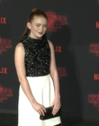 Filename=2017-10-26_-_Stranger_Things_2_Premiere_3_mov1300.jpg
Filesize=1087KiB
Dimensions=1920x1080
Date added=Dec 15, 2022 2017-10-26_-_Stranger_Things_2_Premiere_3_mov1300.jpg