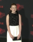 Filename=2017-10-26_-_Stranger_Things_2_Premiere_3_mov1301.jpg
Filesize=1143KiB
Dimensions=1920x1080
Date added=Dec 15, 2022 2017-10-26_-_Stranger_Things_2_Premiere_3_mov1301.jpg