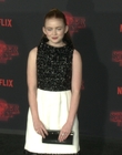 Filename=2017-10-26_-_Stranger_Things_2_Premiere_3_mov1302.jpg
Filesize=1082KiB
Dimensions=1920x1080
Date added=Dec 15, 2022 2017-10-26_-_Stranger_Things_2_Premiere_3_mov1302.jpg