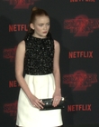 Filename=2017-10-26_-_Stranger_Things_2_Premiere_3_mov1316.jpg
Filesize=1141KiB
Dimensions=1920x1080
Date added=Dec 15, 2022 2017-10-26_-_Stranger_Things_2_Premiere_3_mov1316.jpg