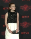 Filename=2017-10-26_-_Stranger_Things_2_Premiere_3_mov1317.jpg
Filesize=1184KiB
Dimensions=1920x1080
Date added=Dec 15, 2022 2017-10-26_-_Stranger_Things_2_Premiere_3_mov1317.jpg