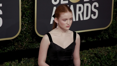 2018-01-07_-_75th_Annual_Golden_Globe_Awards_1_mov4946.jpg