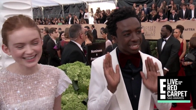 2018-01-21_-_24th_Annual_SAG_Awards_1_mp45318.jpg