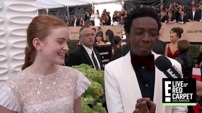 2018-01-21_-_24th_Annual_SAG_Awards_1_mp45320.jpg