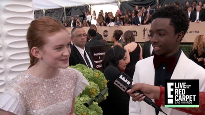 2018-01-21_-_24th_Annual_SAG_Awards_1_mp45329.jpg