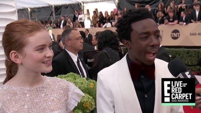 2018-01-21_-_24th_Annual_SAG_Awards_1_mp45347.jpg