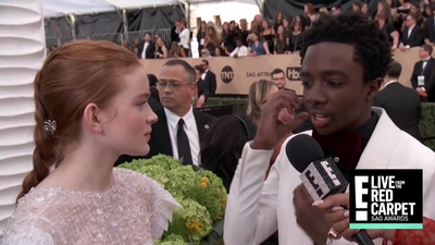 2018-01-21_-_24th_Annual_SAG_Awards_1_mp45386.jpg