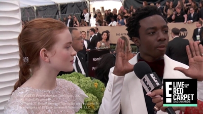 2018-01-21_-_24th_Annual_SAG_Awards_1_mp45387.jpg