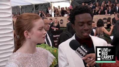2018-01-21_-_24th_Annual_SAG_Awards_1_mp45391.jpg