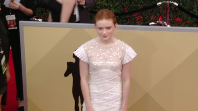 2018-01-21_-_24th_Annual_SAG_Awards_2_mov5416.jpg