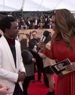 2018-01-21_-_24th_Annual_SAG_Awards_1_mp45353.jpg