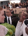 2018-01-21_-_24th_Annual_SAG_Awards_1_mp45386.jpg