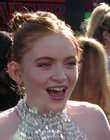 Filename=2019-06-28_-_Stranger_Things_Season_3_Premiere_2_mov3441.jpg
Filesize=1132KiB
Dimensions=1920x1080
Date added=Dec 18, 2022 2019-06-28_-_Stranger_Things_Season_3_Premiere_2_mov3441.jpg