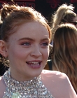 Filename=2019-06-28_-_Stranger_Things_Season_3_Premiere_2_mov3442.jpg
Filesize=1212KiB
Dimensions=1920x1080
Date added=Dec 18, 2022 2019-06-28_-_Stranger_Things_Season_3_Premiere_2_mov3442.jpg