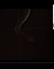 Filename=2021-07-13_-_Netflix_Film_-_Fear_Street_Interview_mp42696.jpg
Filesize=229KiB
Dimensions=1920x1080
Date added=Dec 19, 2022 2021-07-13_-_Netflix_Film_-_Fear_Street_Interview_mp42696.jpg