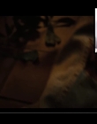 Filename=2021-07-13_-_Netflix_Film_-_Fear_Street_Interview_mp42758.jpg
Filesize=282KiB
Dimensions=1920x1080
Date added=Dec 19, 2022 2021-07-13_-_Netflix_Film_-_Fear_Street_Interview_mp42758.jpg