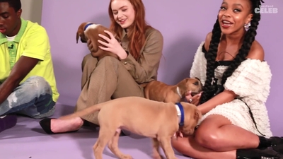 2022-05-27_-_BuzzFeed_Celeb_-_The_Cast_of_Stranger_Things_Plays_With_Puppies_mp42403.jpg