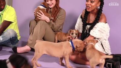 2022-05-27_-_BuzzFeed_Celeb_-_The_Cast_of_Stranger_Things_Plays_With_Puppies_mp42404.jpg