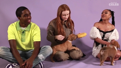 2022-05-27_-_BuzzFeed_Celeb_-_The_Cast_of_Stranger_Things_Plays_With_Puppies_mp42500.jpg