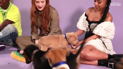 2022-05-27_-_BuzzFeed_Celeb_-_The_Cast_of_Stranger_Things_Plays_With_Puppies_mp42625.jpg