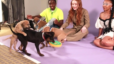 2022-05-27_-_BuzzFeed_Celeb_-_The_Cast_of_Stranger_Things_Plays_With_Puppies_mp42641.jpg
